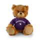 Northwestern Jersey Bear 6in