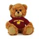Central Michigan Jersey Bear 6in