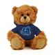 Old Dominion Jersey Bear 6in