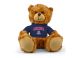 Arizona Jersey Bear 9