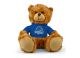 Boise State Jersey Bear 9