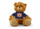 Auburn Jersey Bear 9