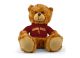 Arizona State Jersey Bear 9