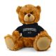 Providence College Jersey Bear 9in