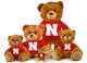 Nebraska Jersey Bear  