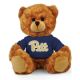 Pittsburgh Jersey Bear 6in
