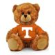 Tennessee Jersey Bear 6in