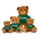 Tulane Jersey Bear  