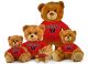 Wesleyan Jersey Bear  