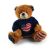 I Love USA Sweater Bear