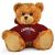 South Carolina Jersey Bear 11in