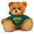 Miami Jersey Bear 11in