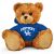 Kentucky Jersey Bear 11in