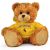 Wyoming Jersey Bear 11in