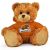 Oregon State Jersey Bear 11in