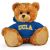 UCLA Jersey Bear 11in