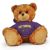 East Carolina Jersey Bear 11in