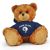 Rhode Island Jersey Bear 11in