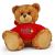 Illinois State Jersey Bear 11in