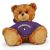 Northwestern Jersey Bear 11in