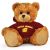 Central Michigan Jersey Bear 11in