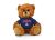 Arizona Jersey Bear 6