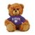 Kansas State Jersey Bear 6in