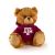 Texas A&M Jersey Bear 6in