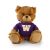 Washington Jersey Bear 6in