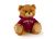 Arizona State Jersey Bear 6