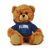 Villanova Jersey Bear 6in