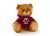 Boston College Jersey Bear 6