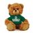 Dartmouth Jersey Bear 6in