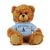 Citadel Jersey Bear 6in