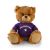 Northwestern Jersey Bear 6in