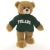 Tulane Sweater Bear