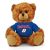 DePaul Jersey Bear 6in