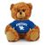 Kentucky Jersey Bear 6in