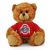 Ohio State Jersey Bear 6in