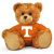 Tennessee Jersey Bear 11in