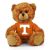 Tennessee Jersey Bear 6in