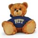 Pittsburgh Jersey Bear 11in