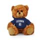 Connecticut Jersey Bear 6in