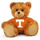 Tennessee Jersey Bear 11in