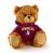 Florida State Jersey Bear 6in