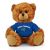 Middle Tennessee Jersey Bear 6in