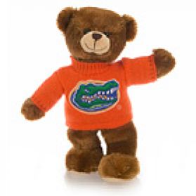 Florida Sweater Bear