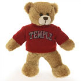 Temple Sweater Bear
