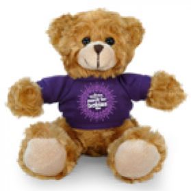 March For Babies Bear 2016