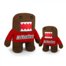 New Mexico State Domo  